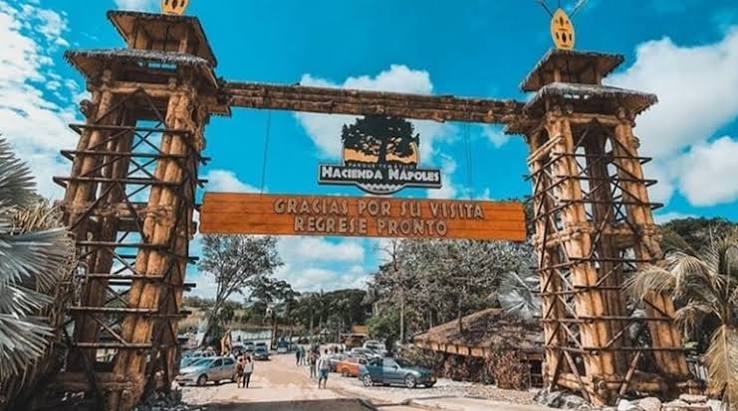 Hacienda Nápoles: Pasaporte Básico vs. Safari, ¿cuál elegir?